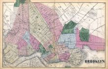 Brooklyn, Long Island 1873